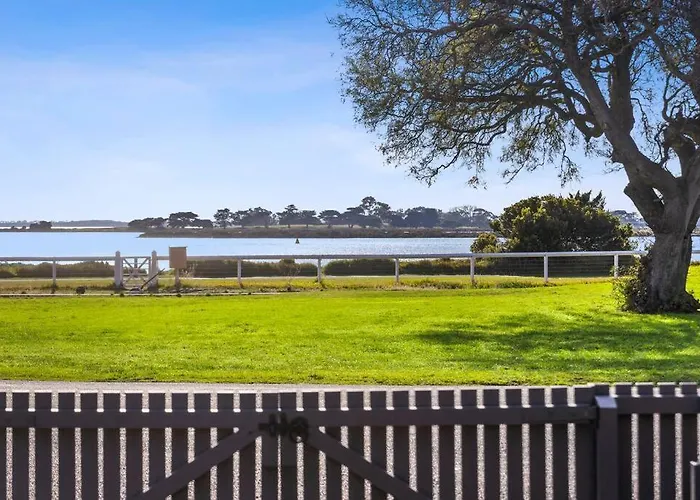 Swan View